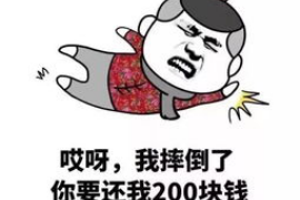 恩平专业讨债公司有哪些核心服务？